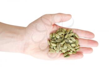 Royalty Free Photo of a Person Holding Cardamom Seeds