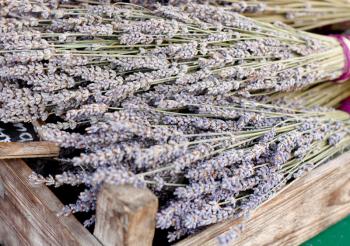 Royalty Free Photo of a Bunch of Lavender