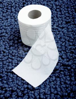 Royalty Free Photo of Toilet Paper