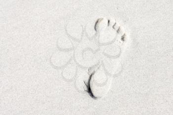 Royalty Free Photo of a Footprint on the Beach