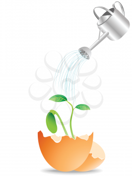 Royalty Free Clipart Image of a Plant Being Watered