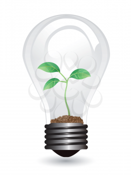 isolated light bulb with plant on white background