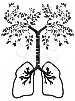 isolated lung tree from white background