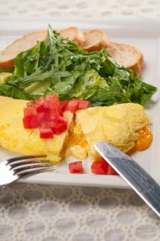 Royalty Free Photo of an Omelet