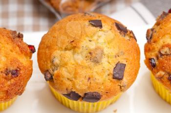 Royalty Free Photo of a Chocolate Chip Muffin