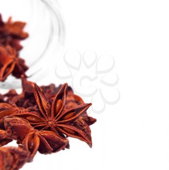 dried anise star spice illicium verum isolated on white