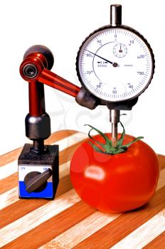 sizing tomato with a dial gauge micrometer