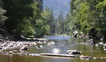 Royalty Free Photo of a River in Yosemite Valley