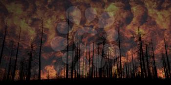 Royalty Free Photo of a Forest Fire