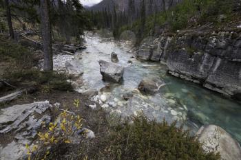 The brilliant colors of the river and rocks in Marble Canyon, Kootenay National Park, Canada.