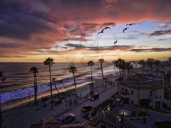 Royalty Free Photo of a Colorful sunset with Seabirds passing over the coastline in Oceanside, California, USA.
