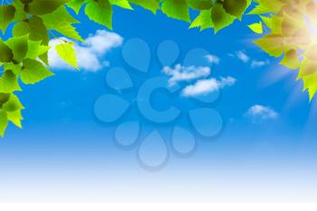 Blue skies. Abstract natural backgrounds for your design