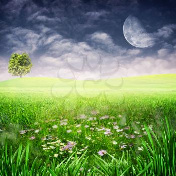 Beauty evening on the meadow. Abstract natural backgrounds for your design