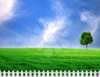 outdoor rural scene with white fence 