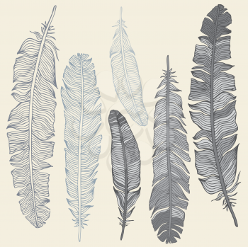 Royalty Free Clipart Image of a Feather Background