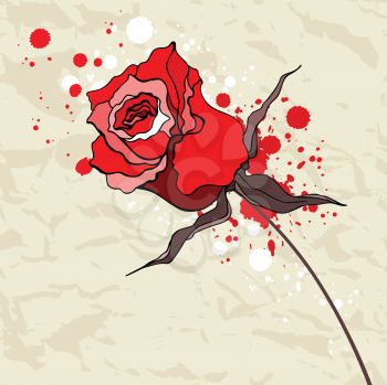 Royalty Free Clipart Image of a Grunge Red Rose on Crumpled Paper