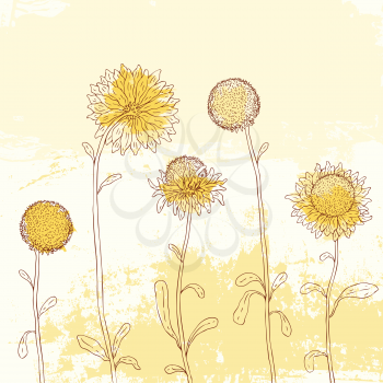 Yellow sunflowers on Watercolor background. Vector illustration