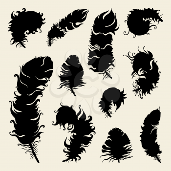 Vintage Feather silhouette. Vector set Hand-drawn illustration