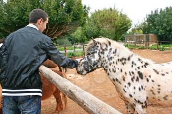 Royalty Free Photo of a Man Petting a Horse