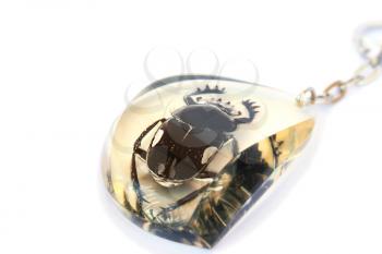 Royalty Free Photo of a Beetle in a Pendant