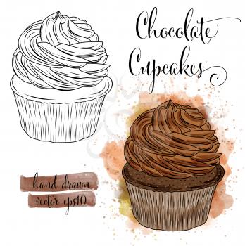 Beautiful hand drawn watercolor cupcakes with chocolate. Vector format