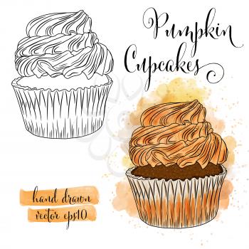Beautiful hand drawn watercolor cupcakes with pumpkin. Vector format