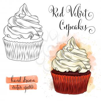 Beautiful hand drawn watercolor red velvet cupcakes. Vector format