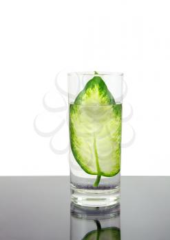 Ecology -green leaf in glass of water . Conceptual.