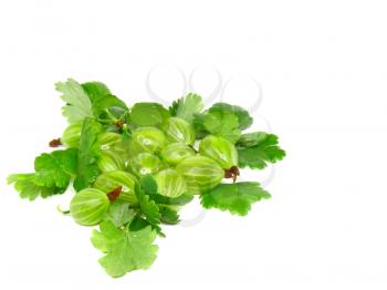 Ripe gooseberry with leaf on white. Isolated.