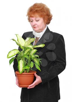 Friendly senior woman with house plant, flowers. Isolated over white.