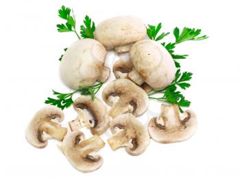 Ripe mushroom champignon with green parsley leaves isolated on white background.