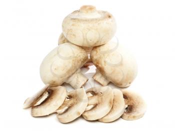 Ripe mushroom champignon , isolated on white background.