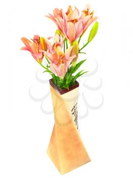 Pink liliesin vase on white background. Isolated over white