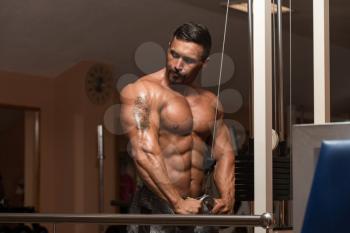 Mexican Bodybuilder Doing Heavy Weight Exercise For Triceps
