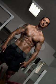 Portrait Of A Muscular Men