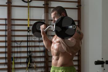 Healthy Man Working Out Biceps In A Health Club