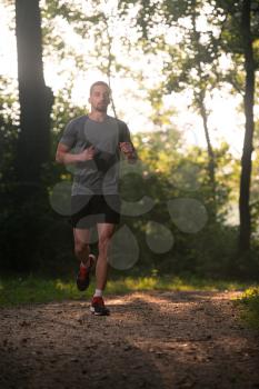 Young Man Running In Wooded Forest Area - Training And Exercising For Trail Run Marathon Endurance - Fitness Healthy Lifestyle Concept