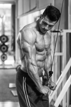 Young Bodybuilder Doing Heavy Weight Exercise For Triceps