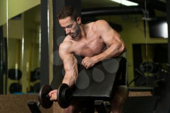 Young Man Working Out Biceps - Dumbbell Concentration Curls
