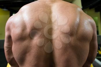 Close Up Of Sports Man's Muscular Back