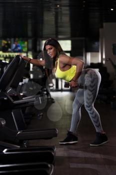 Sexy Mexican Woman Working Out Back With Dumbell In Fitness Center