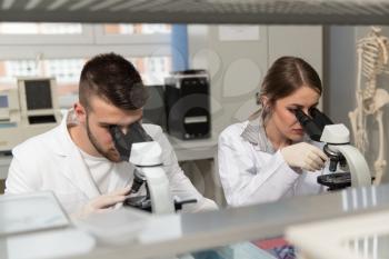 Group Of Scientists Conducting Research In A Lab Environment Looking Into A Microscope
