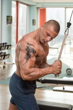 Young Bodybuilder Doing Heavy Weight Exercise For Triceps