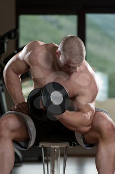 Muscular Man Doing Heavy Weight Exercise For Biceps With Dumbbells In Gym