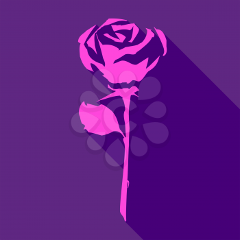 Bright pink rose, on a violet background, vector illustration