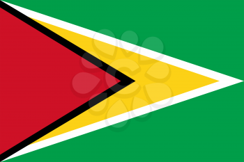 Flag of Guyana. Rectangular shape icon on white background, vector illustration.