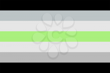 Agender pride flag, vector illustration