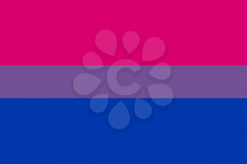 Bi flag or LGBT pride flag