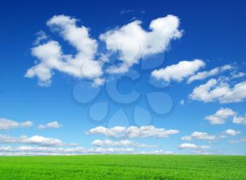 Royalty Free Photo of a Green Field and Blue Sky