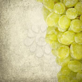 grapes isolated on retro background